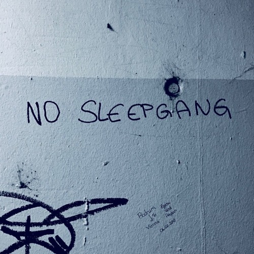 no sleep^gang’s avatar