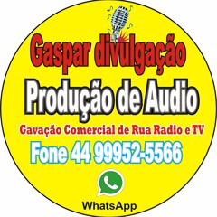 Gaspar Divulgação e Produtora de Audio