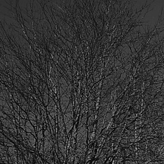 HΛVDΛNKΛΛ†ΛJΛ†