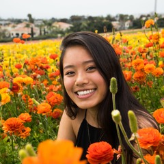 Karin Lim
