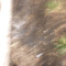 mateusmg2009