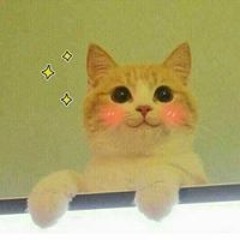 y2mate.com - Tango N2  Tổng hợp từ vựng N2 2500 tango