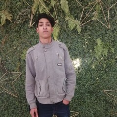 amir mohamed