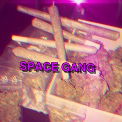 SPACEGANG