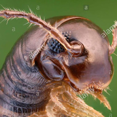 Changed OST - Puro The Black Goo (Extended)