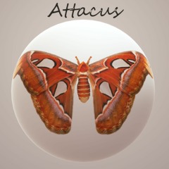 ATTACUS