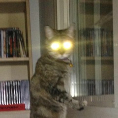 marianas trench coat