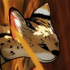 Phoenix (WangthePhoenix)