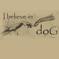 ☆GODxDOG☆