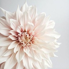 ذكرى من نظرته