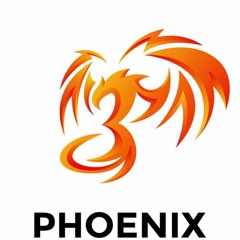 Phoenix Project