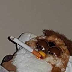 aligator