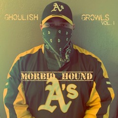 MorbidHound38