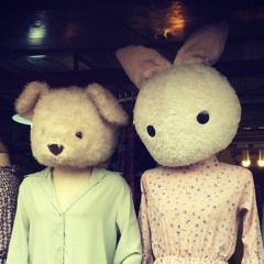 The Bound In Sound System