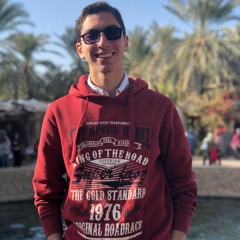 Mohamed Hisham 73