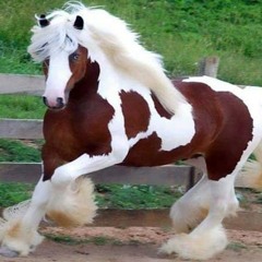 الحورية النائمة