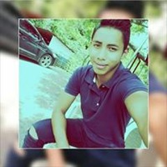 melsar