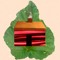 Rhubarb Cabin Records