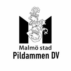 PildammenDV