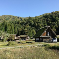 ミカドニューフォーク