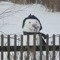 sneaky__snowman878