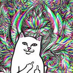 𝔒𝔤 𝔄𝔭𝔬𝔩𝔩𝔬