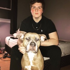 DeenoStacks