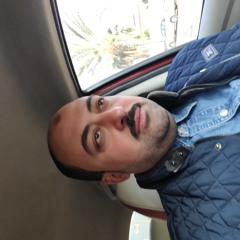 السيد الحناوى
