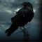 Sypherous Raven