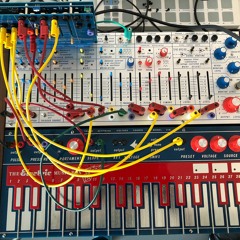 Buchla Easel snippet