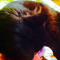 lululeopard45