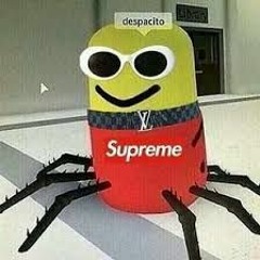 Kubi