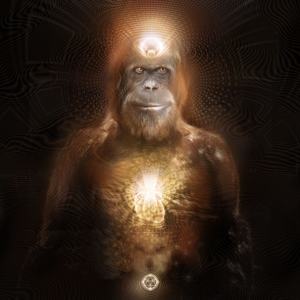 Mr Squatch