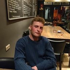 Willem van de Wijngaard