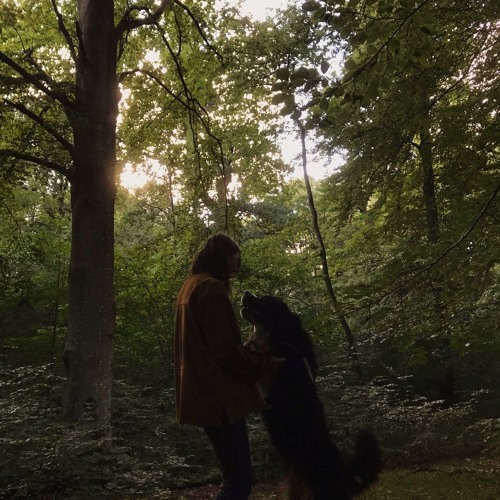 Suddenly The Wind Stops Blowing