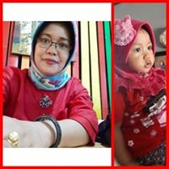 dianpicesa