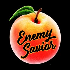 Enemy Savior