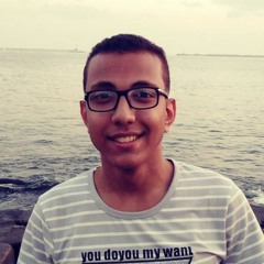 Ahmed Abdel Moneim