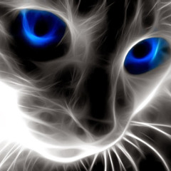 lbgw.stepan
