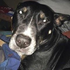 RIP LlL PEEP😪😪😪