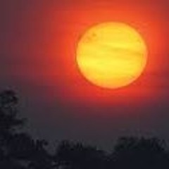 The path of fire light