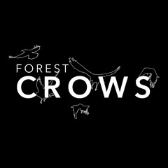 Forest Crows
