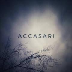 Accasari