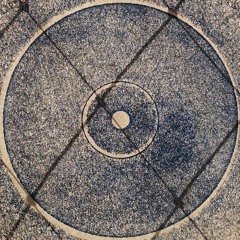 B a c t e r i a s * M 3 D 3