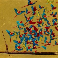 Kristína Moravčíková