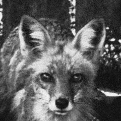 stopquestioningdeath