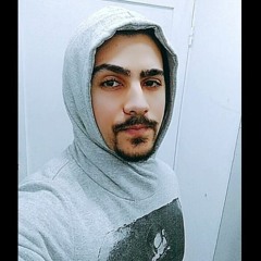 El Fngry | الفنجري