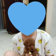 可爱的Wolfie🐾