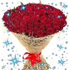 Gehan Ahmed
