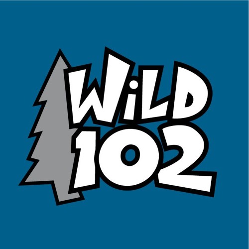 Stream WiLD 102 Radio music | Listen to songs, albums, playlists for free  on SoundCloud